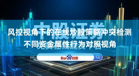 风控视角下的在线炒股策略冲突检测不同资金属性行为对照视角