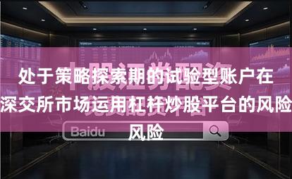 处于策略探索期的试验型账户在深交所市场运用杠杆炒股平台的风险