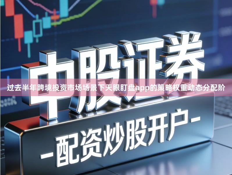 过去半年跨境投资市场场景下天眼盯盘app的策略权重动态分配阶