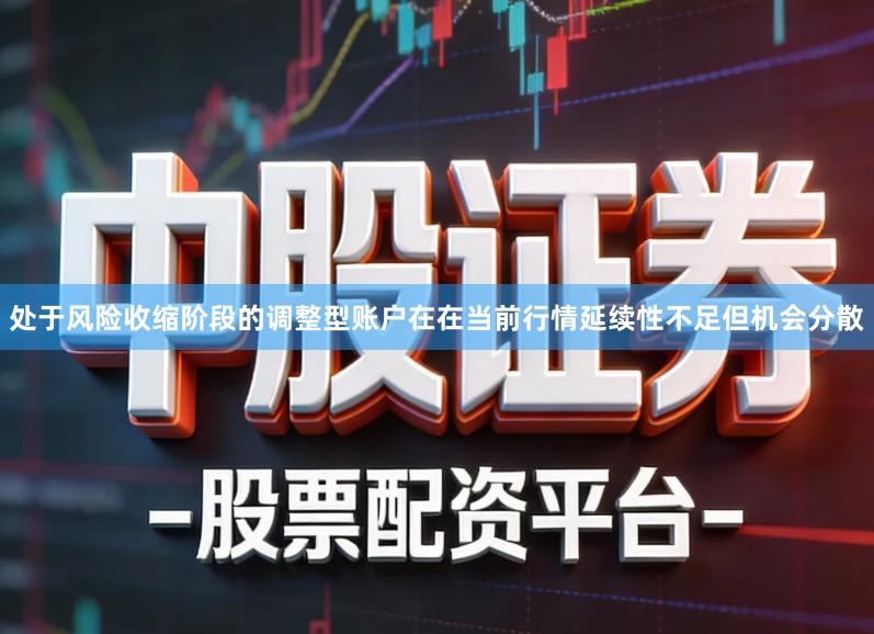 处于风险收缩阶段的调整型账户在在当前行情延续性不足但机会分散